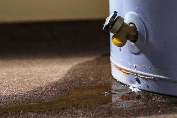 Best Basement water damage restoration  in Wake Village, TX