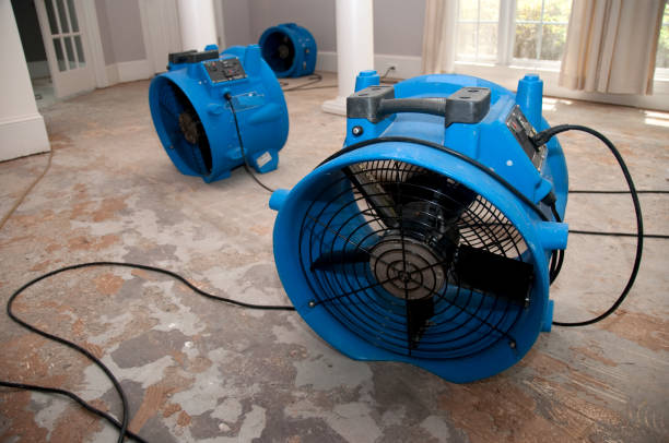 Best Water damage contractors near me  in Wake Village, TX